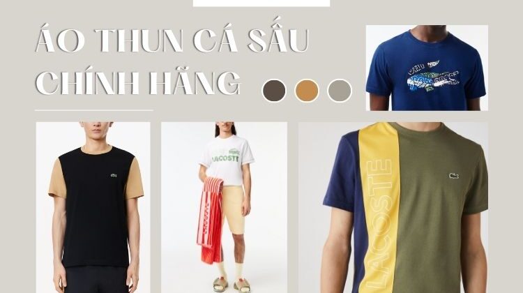 Địa chỉ bán áo thun Lacoste chính hãng