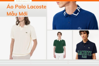 Tổng Hợp Áo Polo Lacoste Mẫu Mới Ra Mắt Năm 2025