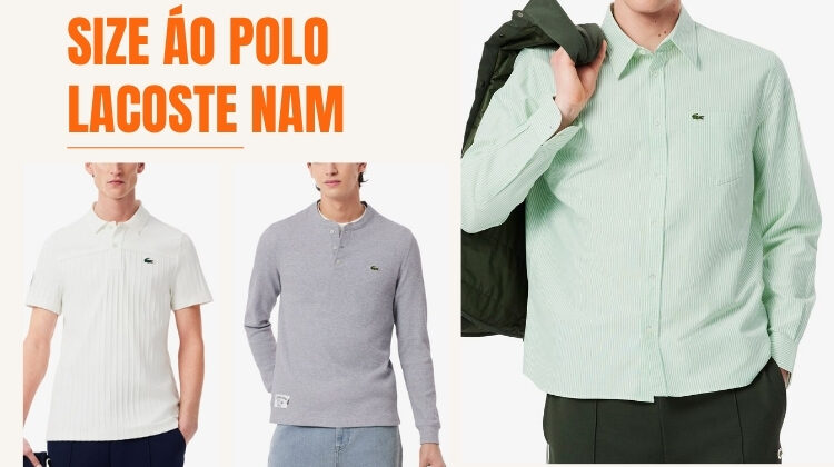 size áo polo lacoste nam