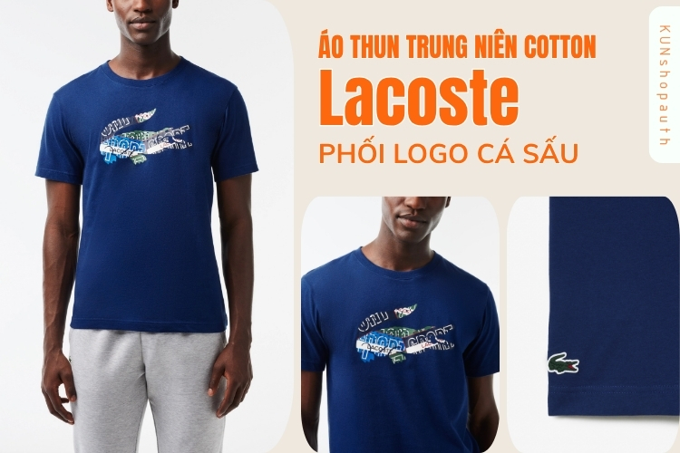 Áo Thun Lacoste trung niên Cotton phối logo Cá Sấu